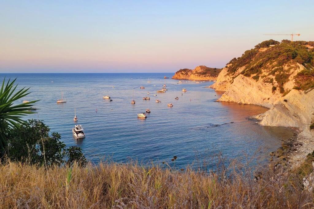 Javea Beach Blue House ภายนอก รูปภาพ